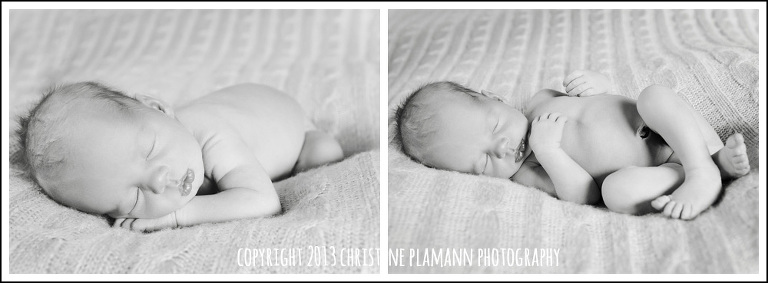 Newborn Photos in Milwaukee