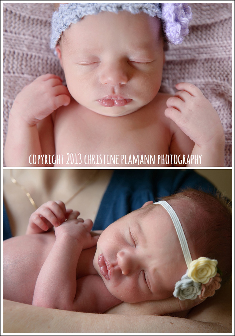 Newborn Photos in Milwaukee